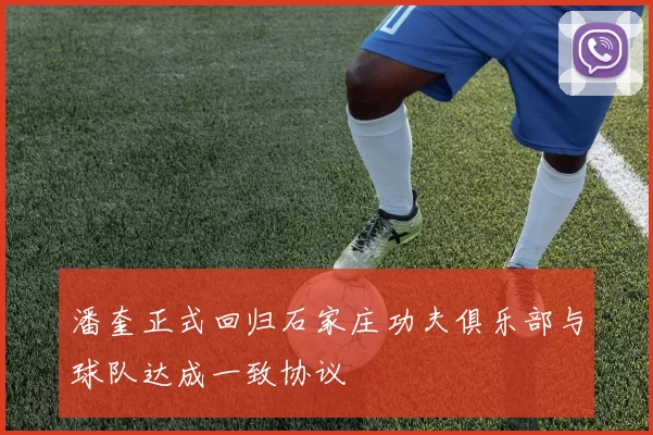 潘奎正式回归石家庄功夫俱乐部与球队达成一致协议