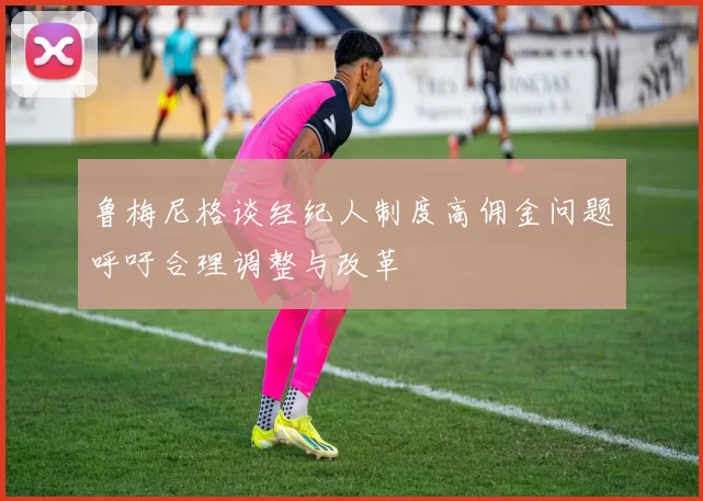 鲁梅尼格谈经纪人制度高佣金问题呼吁合理调整与改革