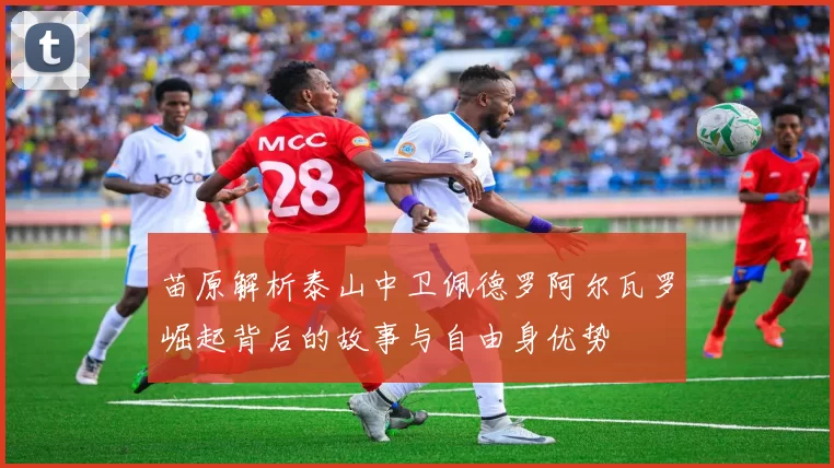 苗原解析泰山中卫佩德罗阿尔瓦罗崛起背后的故事与自由身优势